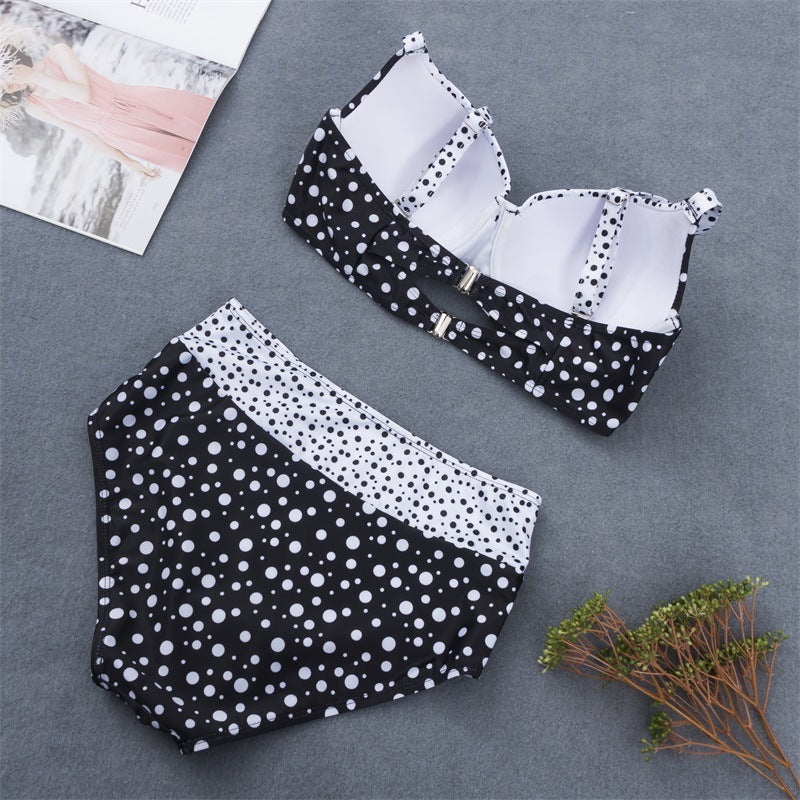Retro Polka Dot Plus Size Bikini