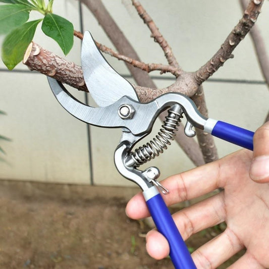 A hand holding a pair of garden shears with blue handles, in the process of cutting a branch.