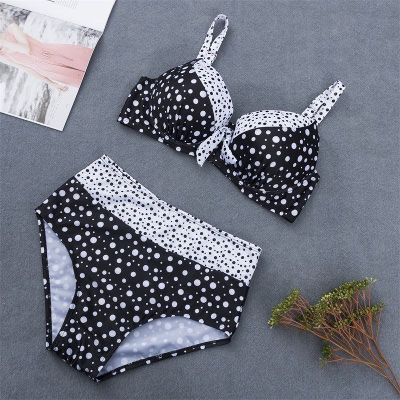 Retro Polka Dot Plus Size Bikini