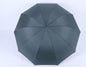 Large 3-Fold Windproof Umbrella – Super Strong 10-Rib Compact Travel Umbrella for Adults