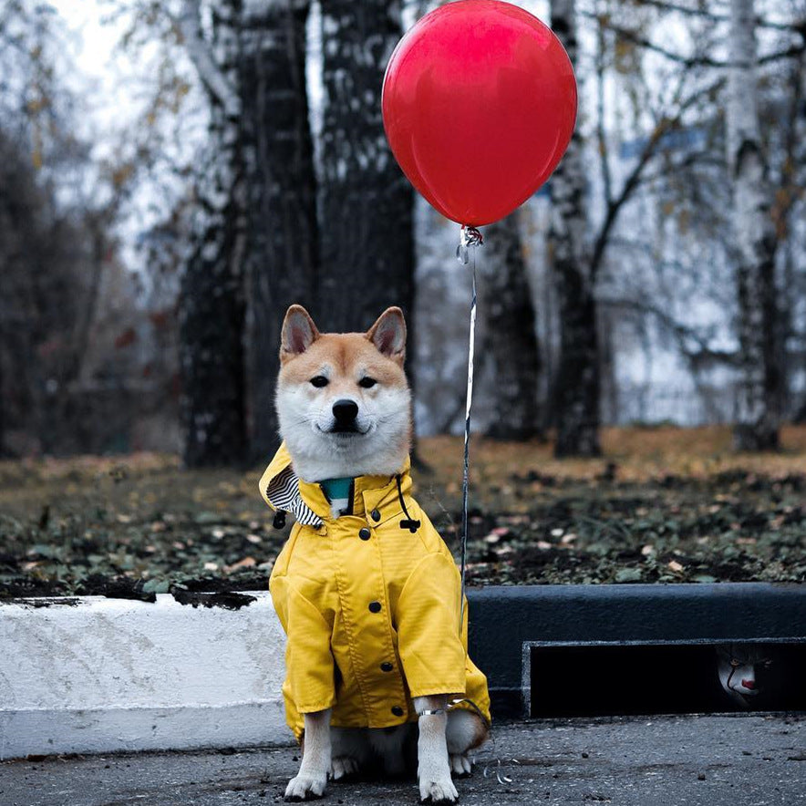 Dog in yellow raincoat with red balloon in autumn setting