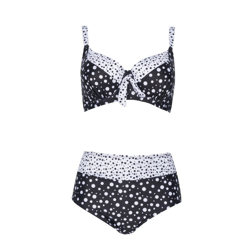 Retro Polka Dot Plus Size Bikini