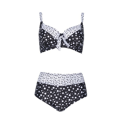 Retro Polka Dot Plus Size Bikini