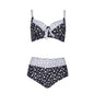 Retro Polka Dot Plus Size Bikini