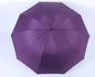 Large 3-Fold Windproof Umbrella – Super Strong 10-Rib Compact Travel Umbrella for Adults