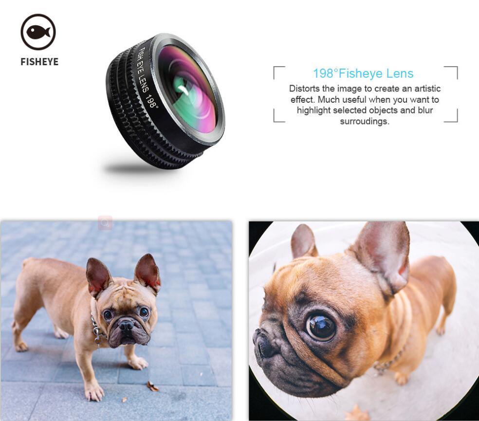 Fisheye lens with a dog photo before and after effect.