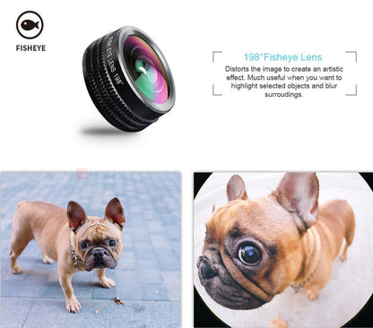 Fisheye lens with a dog photo before and after effect.