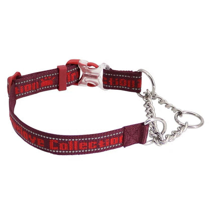 Stainless Steel Dog Collar — Reflective, 7 Colors, M & L