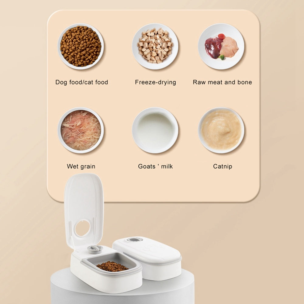 Gravity Pet Feeder & Water Dispenser — Single & Double Bowl