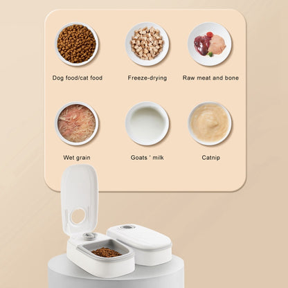 Gravity Pet Feeder & Water Dispenser — Single & Double Bowl