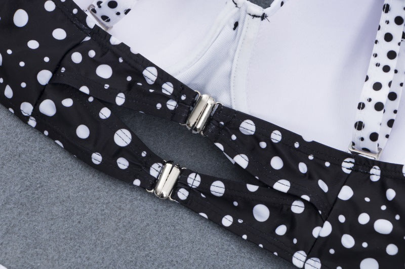 Retro Polka Dot Plus Size Bikini