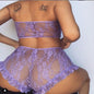 Sexy Lingerie Set for Women – Sheer Bodysuit