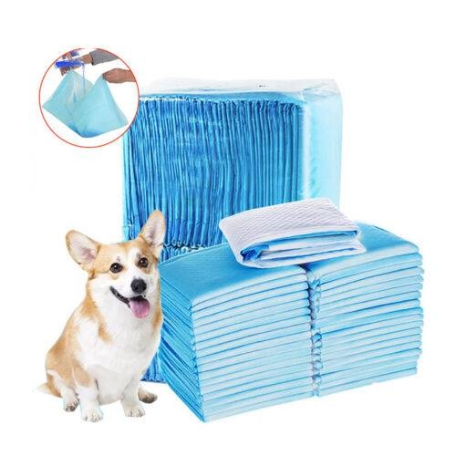 A stack of blue puppy pads with a corgi dog sitting in front of them, indicating the product is for pet training.