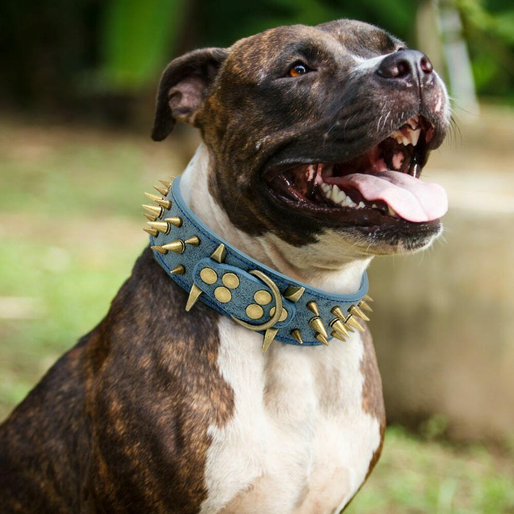 Adjustable Dog Collar — Anti-Bite, 3 Colors, Sizes S–XL