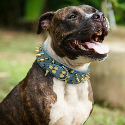 Adjustable Dog Collar — Anti-Bite, 3 Colors, Sizes S–XL