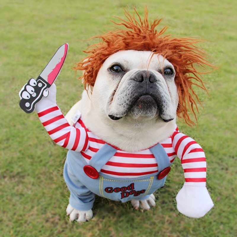 Dog in lion costume with red hair and striped shirt on grass background