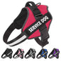 A black dog harness with 'SERVICE DOG' text printed on the back, equipped with adjustable straps and a buckle.