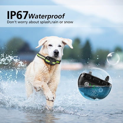 IP67 Waterproof Anti-Bark Dog Training Collar