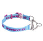 Stainless Steel Dog Collar — Reflective, 7 Colors, M & L